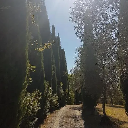 Marae * Forcoli