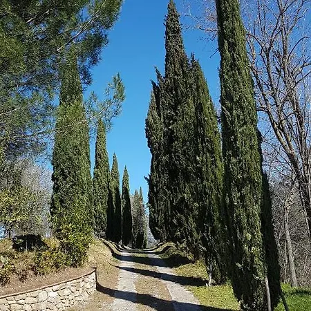 Marae 빌라 Forcoli